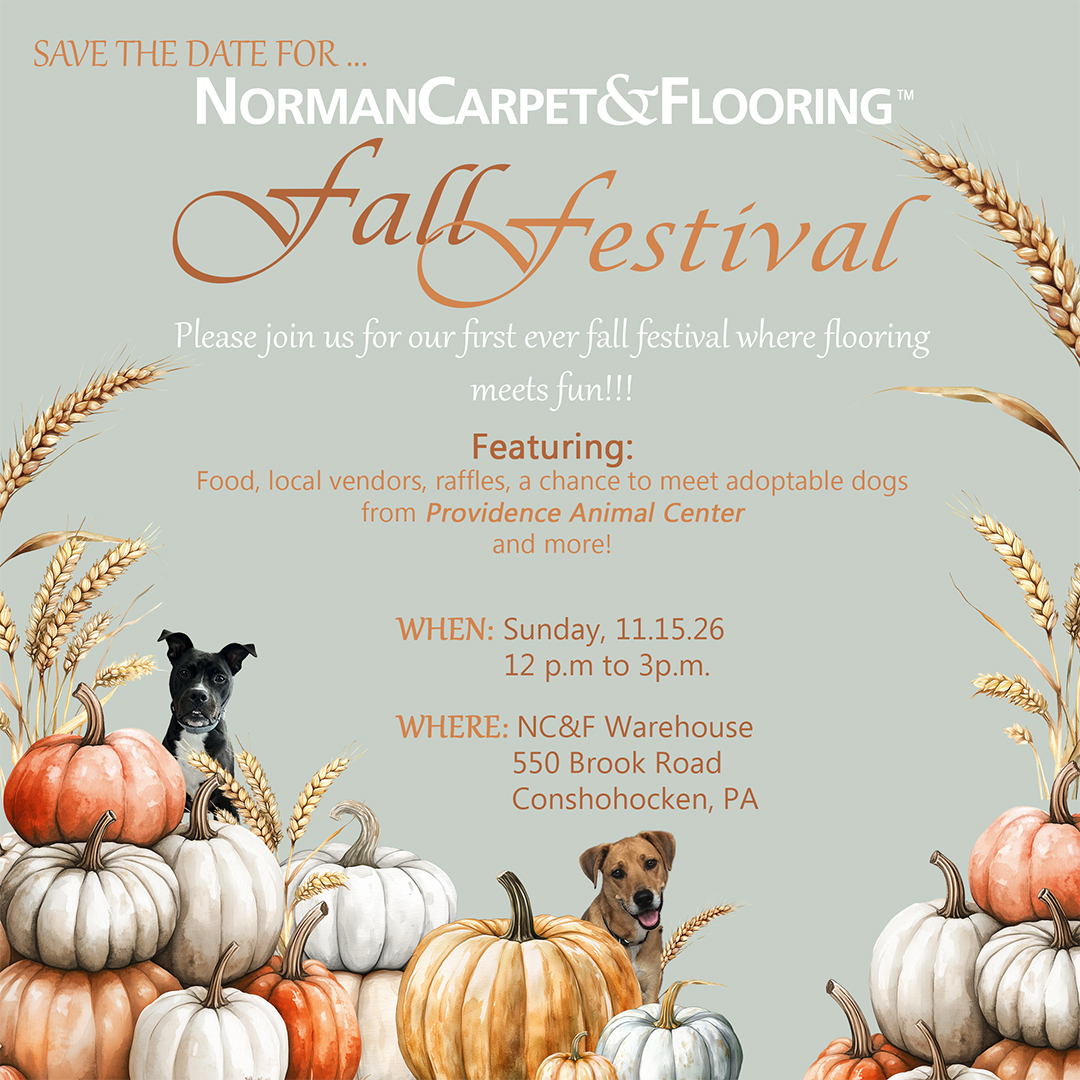 Norman Carpet & Flooring Fall Festival, Meet Adoptable Dogs